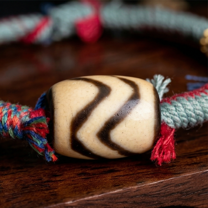 Tiger tooth dzi bead bracelet close up