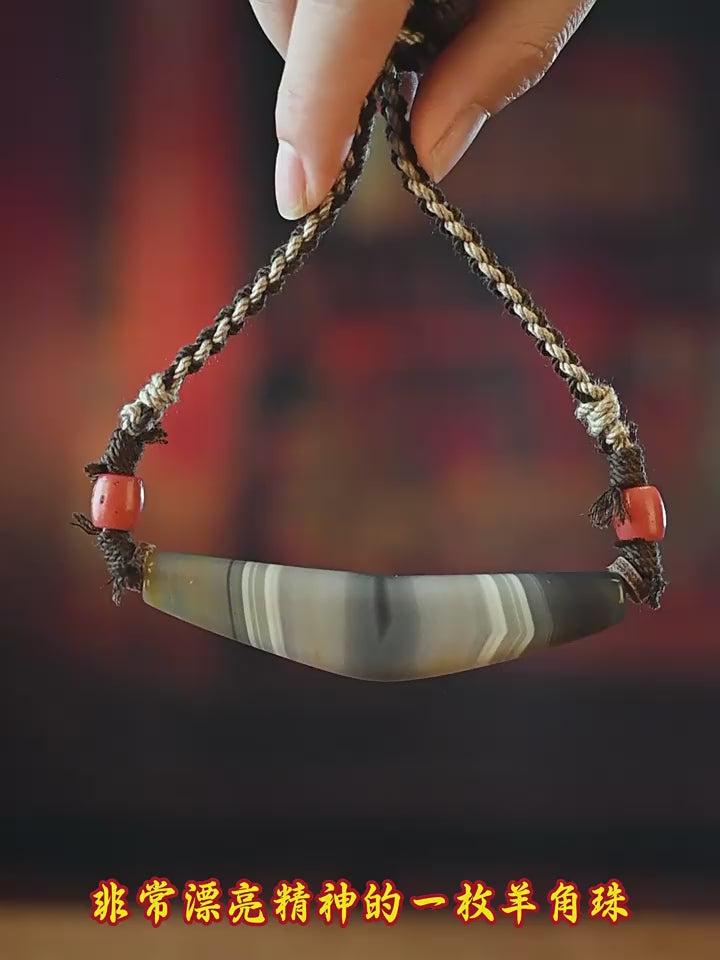 Collector-Grade Banded Horn-Form Dzi Necklace | One of One - source product video