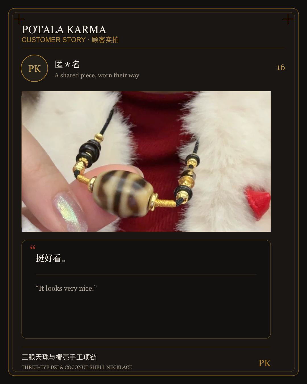 Potala Karma customer story 16